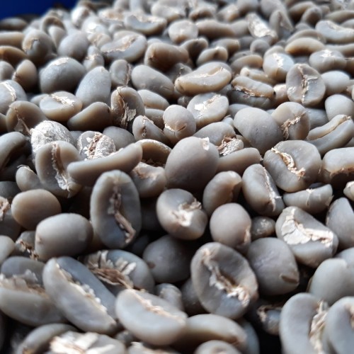 Wash Bean Royal Aro